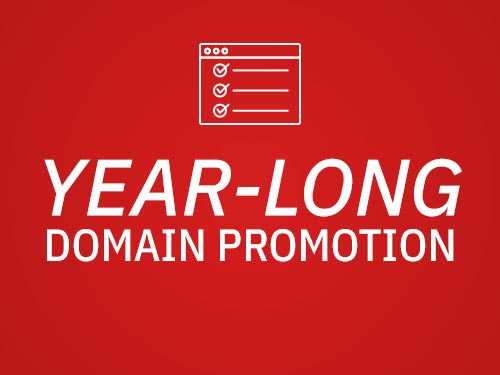 Year-long domain promotion